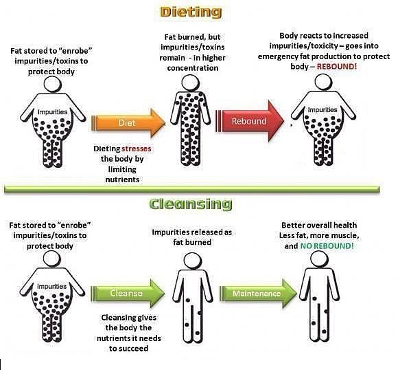 Nutri Diet Nutri Diet